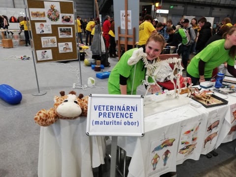 Veterinární prevence